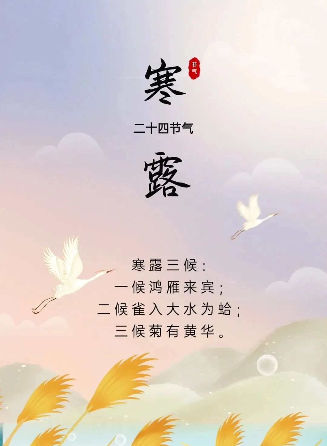【健康科普】今日寒露，天气从凉爽到寒冷，养生要重视“五件事”