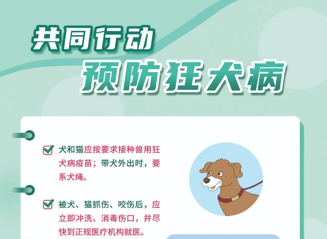 预防狂犬病主题海报发布